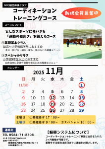 11月コーディネーション